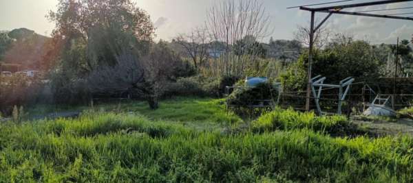 Foto Terreno agricolo in vendita a Aci Sant'Antonio