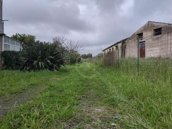Foto Terreno agricolo in vendita a Acireale