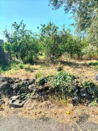 Foto Terreno agricolo in vendita a Acireale