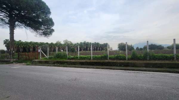 Foto Terreno agricolo in vendita a Afragola