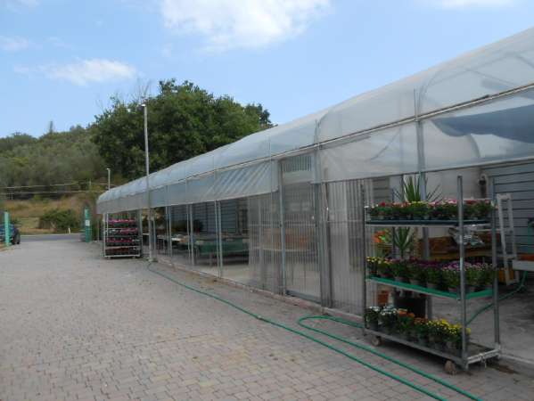 Foto TERRENO AGRICOLO in VENDITA a ANCONA