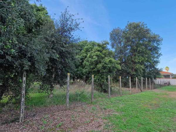 Foto Terreno agricolo in vendita a Anzio