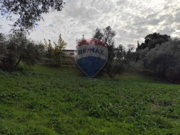 Foto Terreno agricolo in vendita a Aprilia
