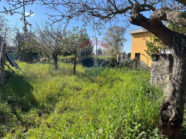 Foto Terreno agricolo in vendita a Ardea