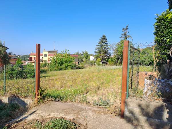 Foto Terreno agricolo in vendita a Ariccia