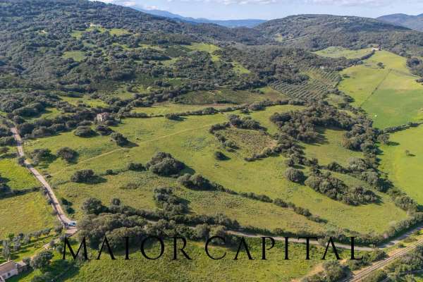 Foto Terreno agricolo in vendita a Arzachena