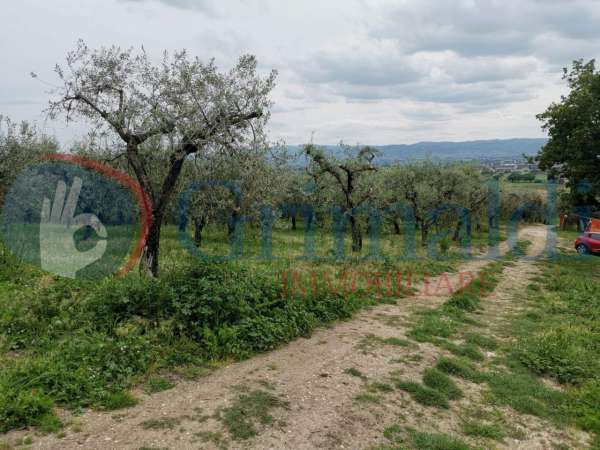 Foto Terreno agricolo in vendita a Assisi