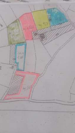 Foto Terreno agricolo in vendita a Avenza - Carrara 1000 mq  Rif: 1285580