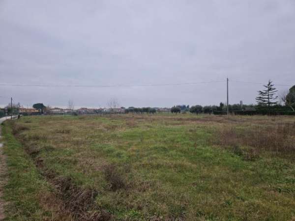 Foto Terreno agricolo in vendita a Badia - Cascina 7890 mq  Rif: 1240586