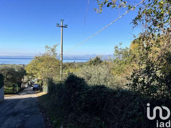Foto Terreno agricolo in vendita a Bardolino