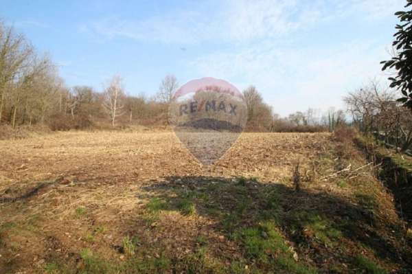 Foto Terreno agricolo in vendita a Barzana