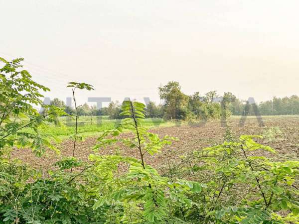 Foto Terreno agricolo in Vendita a Bedizzole Bedizzole