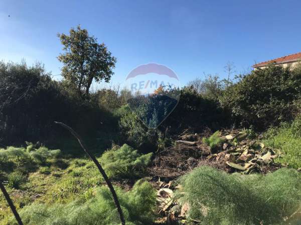 Foto Terreno agricolo in vendita a Belpasso