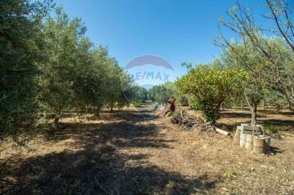 Foto Terreno agricolo in vendita a Belpasso
