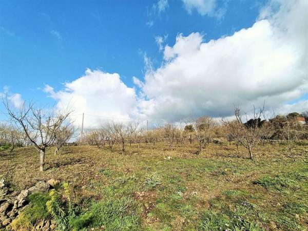 Foto Terreno agricolo in vendita a Belpasso