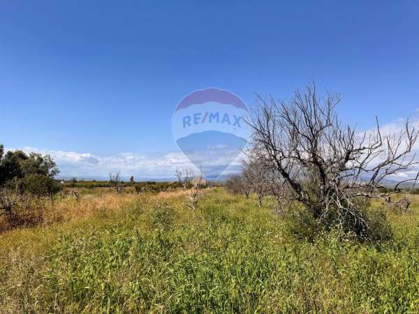 Foto Terreno agricolo in vendita a Belpasso