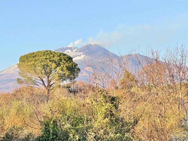 Foto Terreno agricolo in vendita a Belpasso