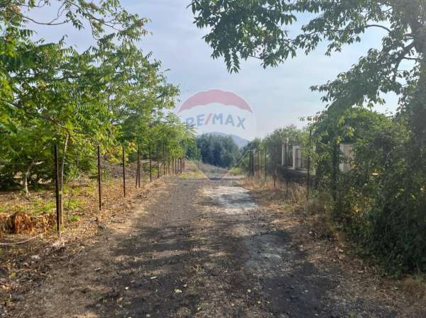 Foto Terreno agricolo in vendita a Belpasso