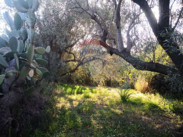 Foto Terreno agricolo in vendita a Belpasso