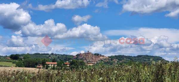 Foto Terreno agricolo in vendita a Bibbona