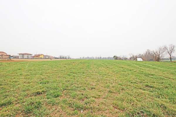 Foto Terreno agricolo in vendita a Brembate