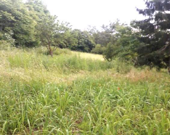 Foto Terreno agricolo in Vendita a Brescia
