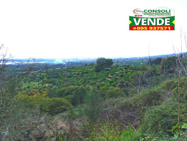 Foto Terreno agricolo in vendita a Calatabiano