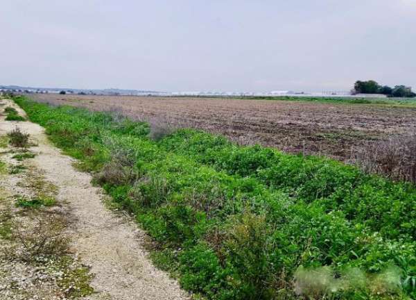 Foto Terreno agricolo in vendita a Calcinaia 22700 mq  Rif: 926561