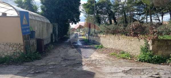 Foto Terreno agricolo in vendita a Caltagirone