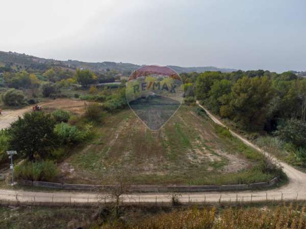 Foto Terreno agricolo in vendita a Cappelle Sul Tavo