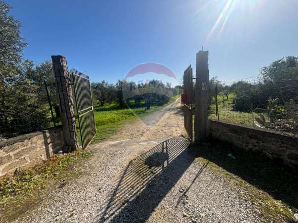 Foto Terreno agricolo in vendita a Carlentini