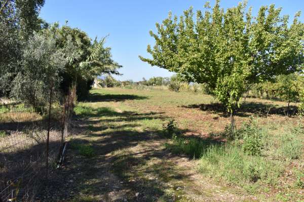 Foto Terreno agricolo in vendita a Carpino