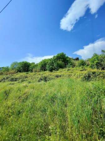 Foto Terreno agricolo in vendita a Carrara 1000 mq  Rif: 1324899