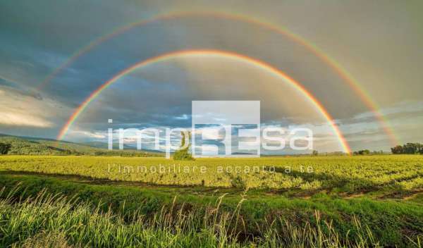 Foto Terreno agricolo in vendita a Casale Sul Sile