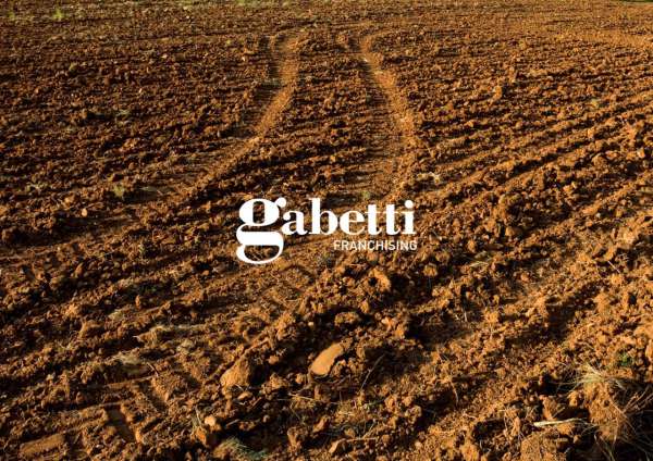 Foto Terreno agricolo in vendita a Casalserugo