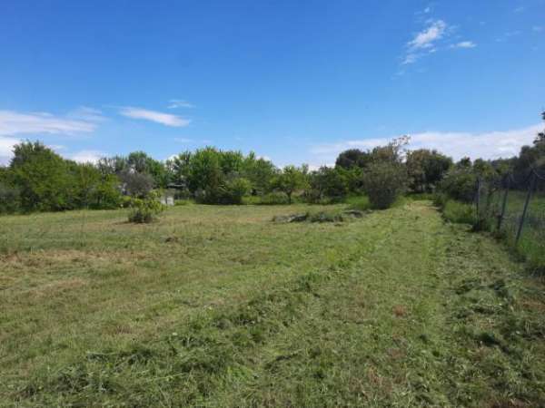Foto Terreno agricolo in vendita a Cascina 1900 mq  Rif: 1266106