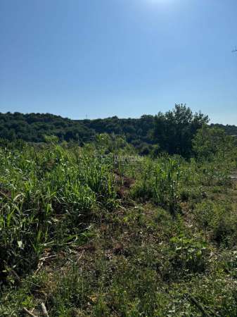 Foto Terreno agricolo in vendita a Caserta