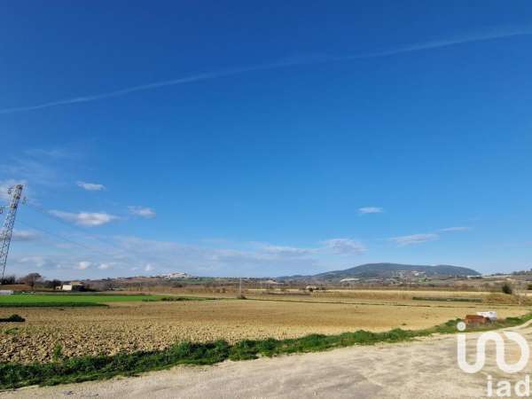 Foto Terreno agricolo in vendita a Castelfidardo