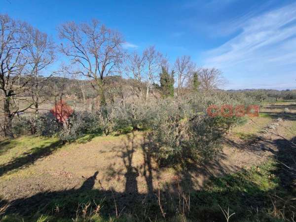 Foto Terreno agricolo in vendita a Castelfiorentino