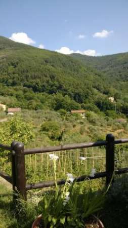 Foto Terreno agricolo in vendita a Castelmaggiore - Calci 1500 mq  Rif: 1205664
