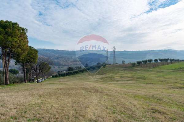 Foto Terreno agricolo in vendita a Castelplanio
