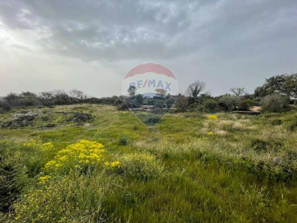 Foto Terreno agricolo in vendita a Catania