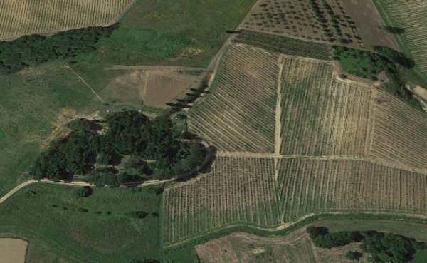 Foto Terreno agricolo in vendita a Cerreto Guidi 45000 mq  Rif: 1204445