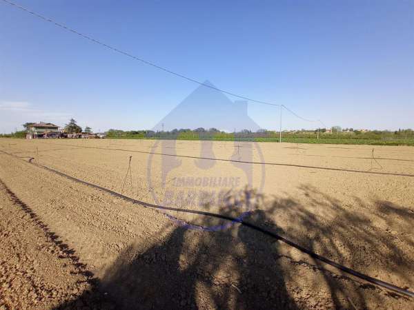 Foto Terreno agricolo in vendita a Cervia