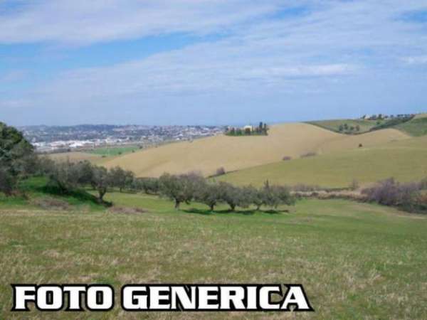 Foto Terreno agricolo in vendita a Cigoli - San Miniato 11650 mq  Rif: 1303902