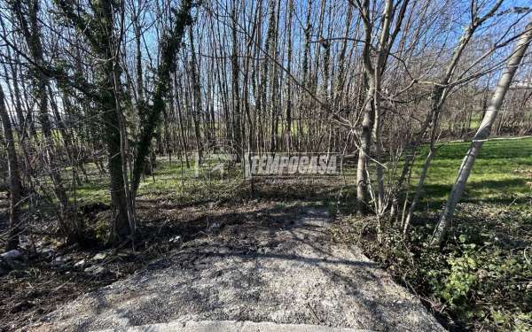 Foto Terreno agricolo in vendita a Coazze