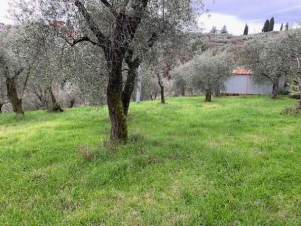 Foto Terreno agricolo in vendita a Colle - Buggiano 5500 mq  Rif: 1311347
