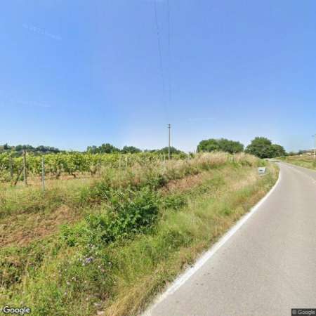 Foto Terreno agricolo in vendita a Colle di Val d'Elsa 1300 mq  Rif: 1288026