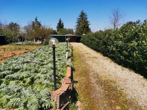 Foto Terreno agricolo in vendita a Colle di Val d'Elsa 1300 mq  Rif: 1317799