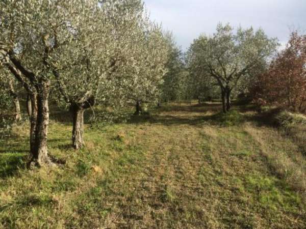 Foto Terreno agricolo in vendita a Colle di Val d'Elsa 25400 mq  Rif: 1315021